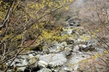 20110402
