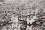 20120225