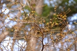 20120324