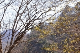 20120401