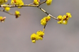 20120401