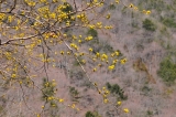 20120401
