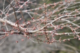 20120401