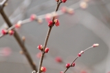 20120401