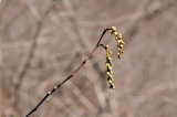 20120401