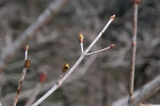 20120401