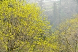 20120421