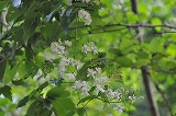 20120728
