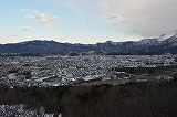 中津峡のイタヤカエデ