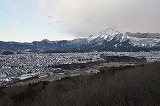 中津峡のイタヤカエデ