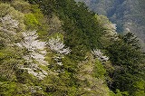 仏石山