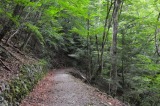 軌道跡