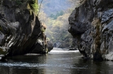 荒川本流