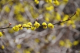 20180318