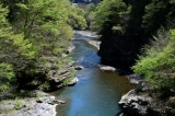 荒川本流